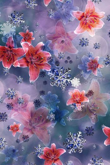 203963-wl9-0846F副本