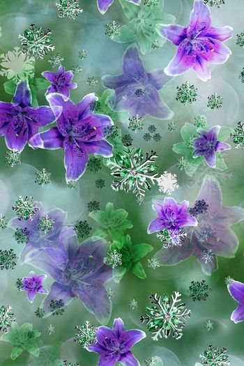 203965-wl9-0846F配色2