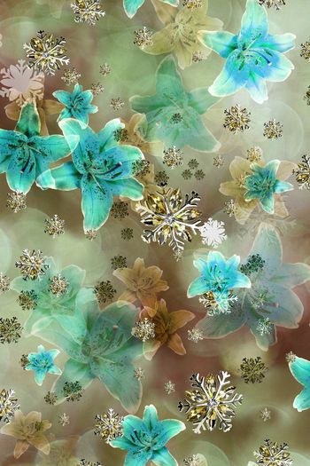 203966-wl9-0846F配色3