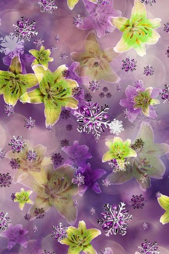 203967-wl9-0846F配色4