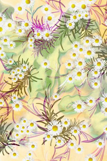 203975-wl9-0851F副本