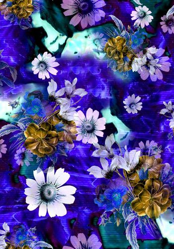 204004-wl9-0862F配色5