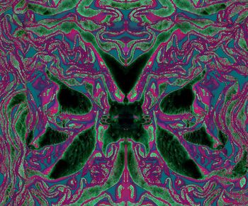 204042-wl9-0882F配色1