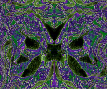 204043-wl9-0882F配色2