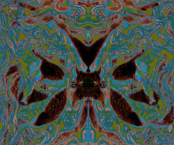 204044-wl9-0882F配色3