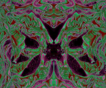 204046-wl9-0882F配色5