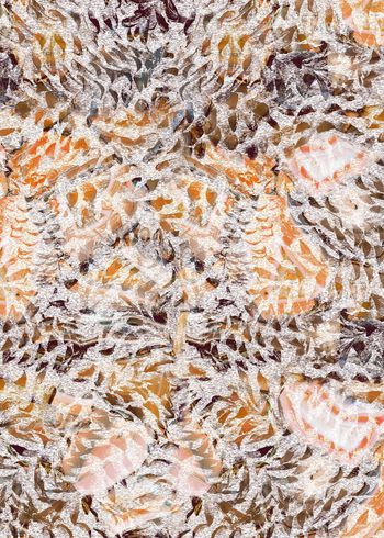 204050-wl9-0885F配色3