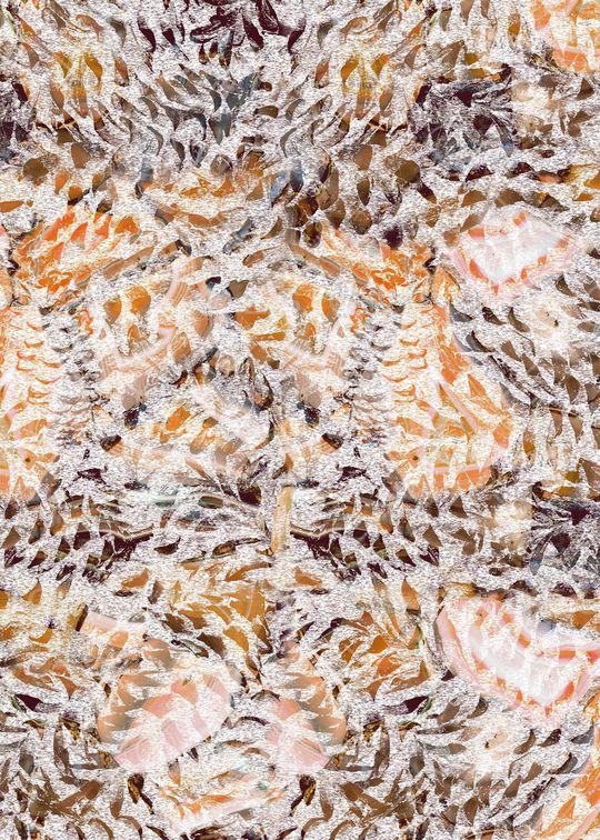 印花华亿平台图片