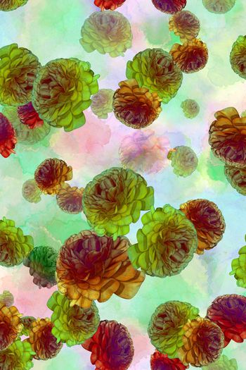 204744-WL12-0937F配色2