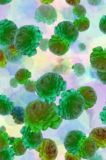 204746-WL12-0937F配色4