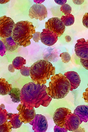 204747-WL12-0937F配色5