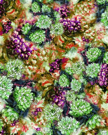 204844-WL12-0982F配色4