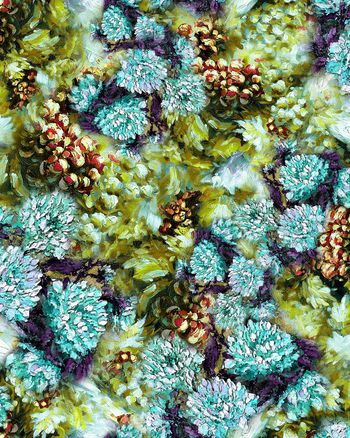 204848-WL12-0982F配色5