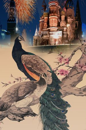 孔雀印花华亿平台图片