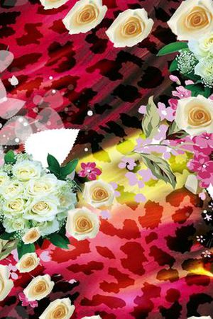 动物纹印花华亿平台图片