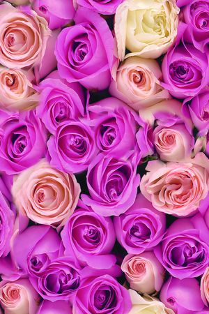 摄影写实花卉印花华亿平台图片