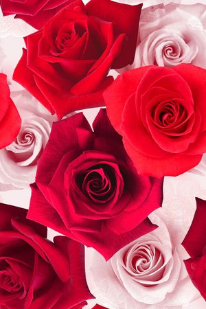 玫瑰印花华亿平台图片