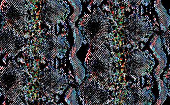 蛇纹印花华亿平台图片