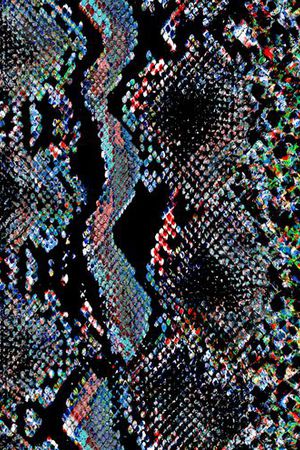 蛇纹印花华亿平台图片