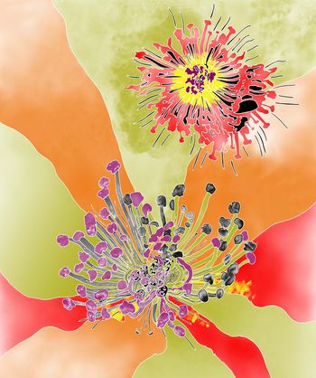 印花华亿平台图片