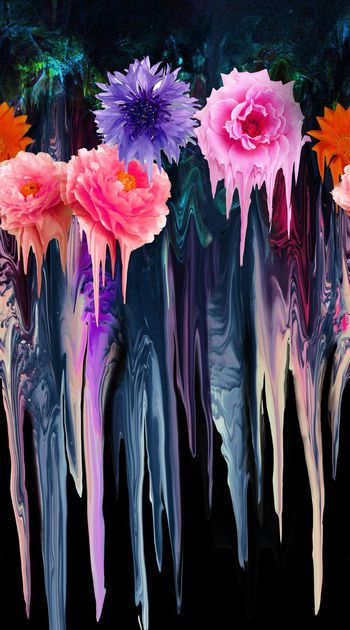 210068-滴状花卉