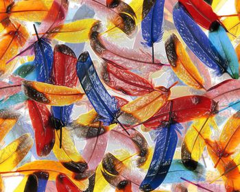 210080-特殊效果羽毛