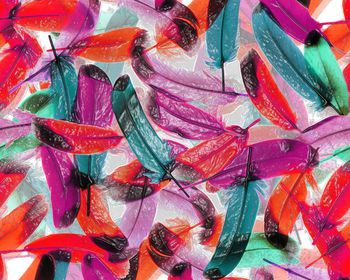 210082-特殊效果羽毛