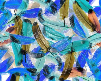 210084-特殊效果羽毛