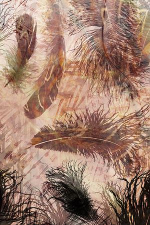 C-动物华亿平台/Animal印花华亿平台图片