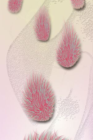 长巾印花华亿平台图片