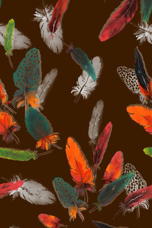 羽毛印花华亿平台图片