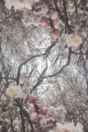 摄影照片印花华亿平台图片