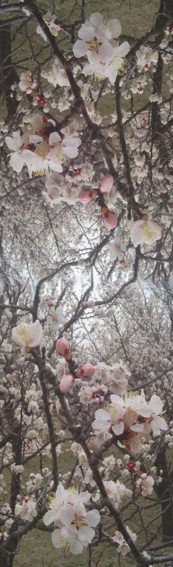 摄影照片印花华亿平台图片