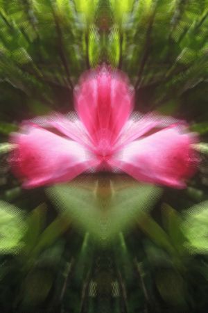 印花华亿平台图片