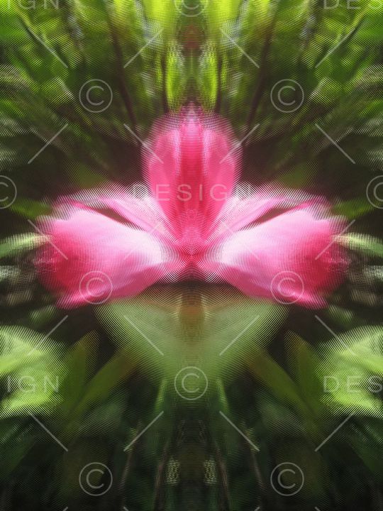 印花华亿平台图片