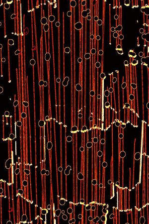 K-男装图案/Menswear印花华亿平台图片