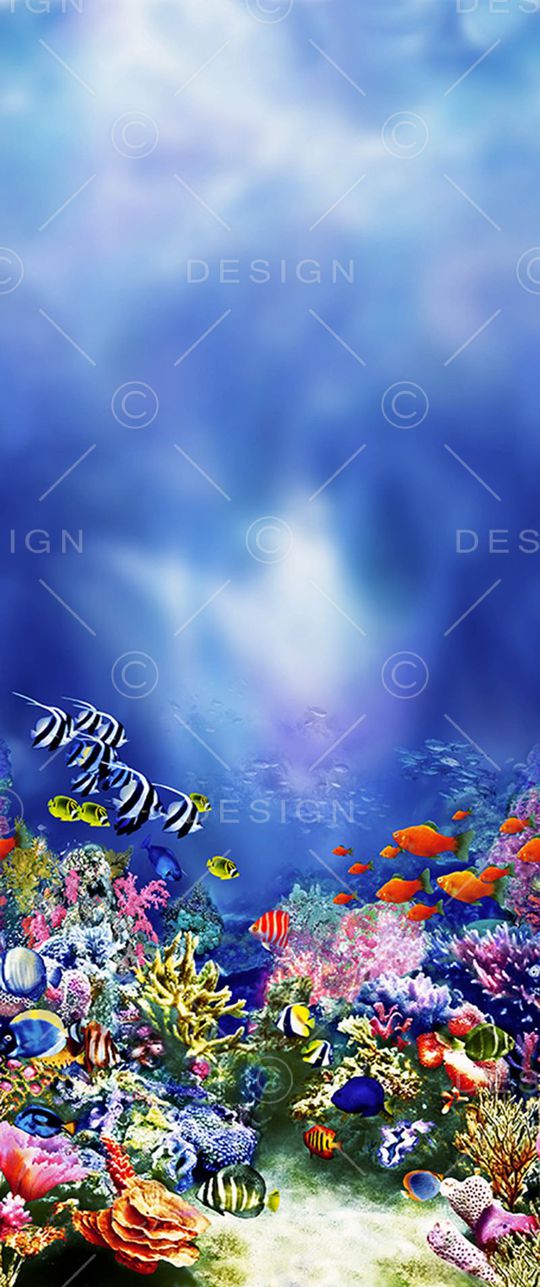 欧美时装定位印花华亿平台图片