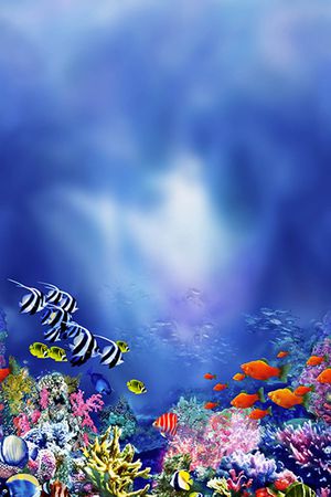 欧美时装定位印花华亿平台图片