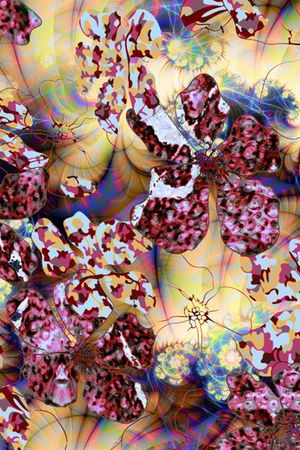 印花华亿平台图片