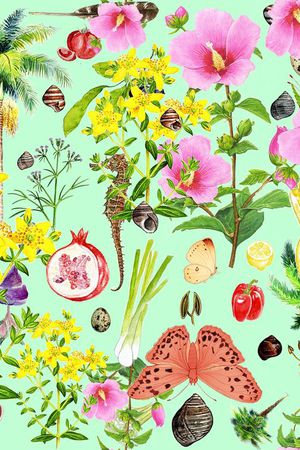 蝴蝶印花华亿平台图片