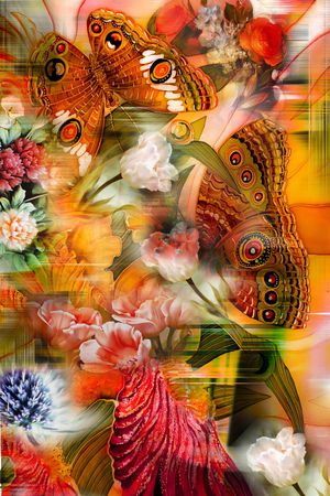 蝴蝶印花华亿平台图片