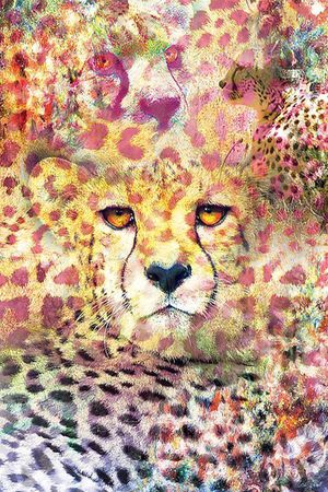 印花华亿平台图片