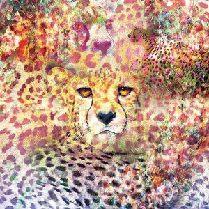 印花华亿平台图片