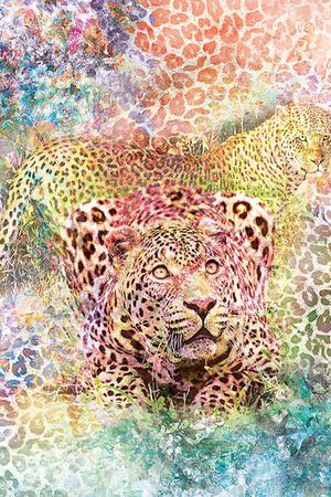 印花华亿平台图片