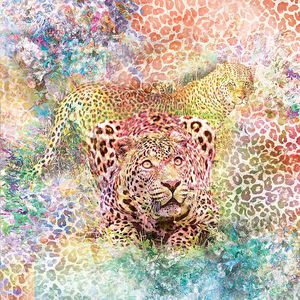 印花华亿平台图片