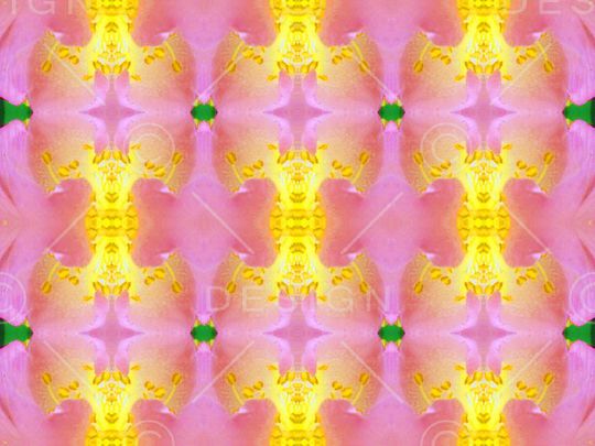 印花华亿平台图片