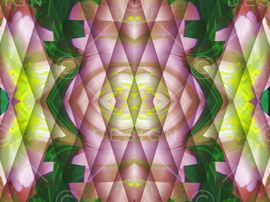 印花华亿平台图片