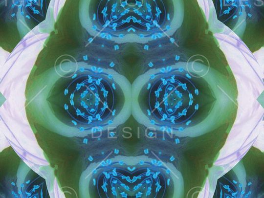 丝巾印花华亿平台图片