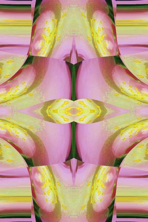 印花华亿平台图片