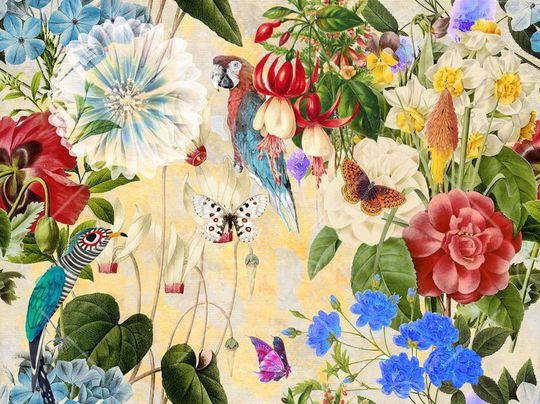 花鸟画印花华亿平台图片